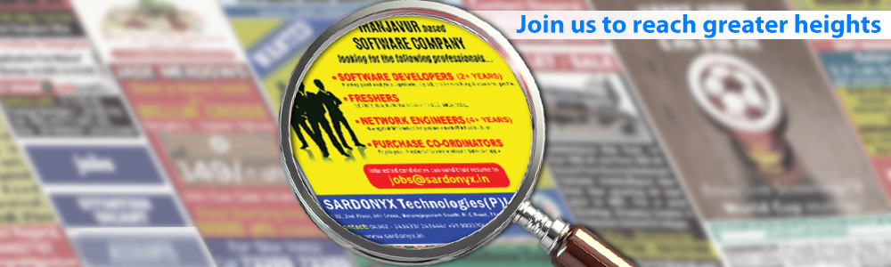  Careers of Sardonyx